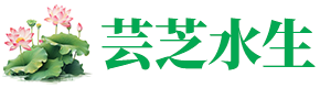安新县马家寨芸芝水生植物种植园